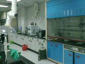 lab