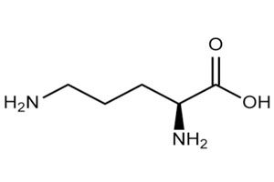 L-Ornithine