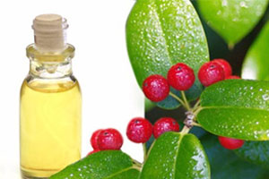 Wintergreen oil