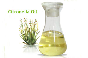 Citronella oil, CAS-8000-29-1